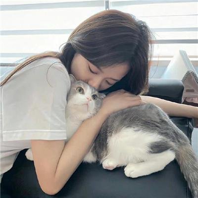 完美的旋律